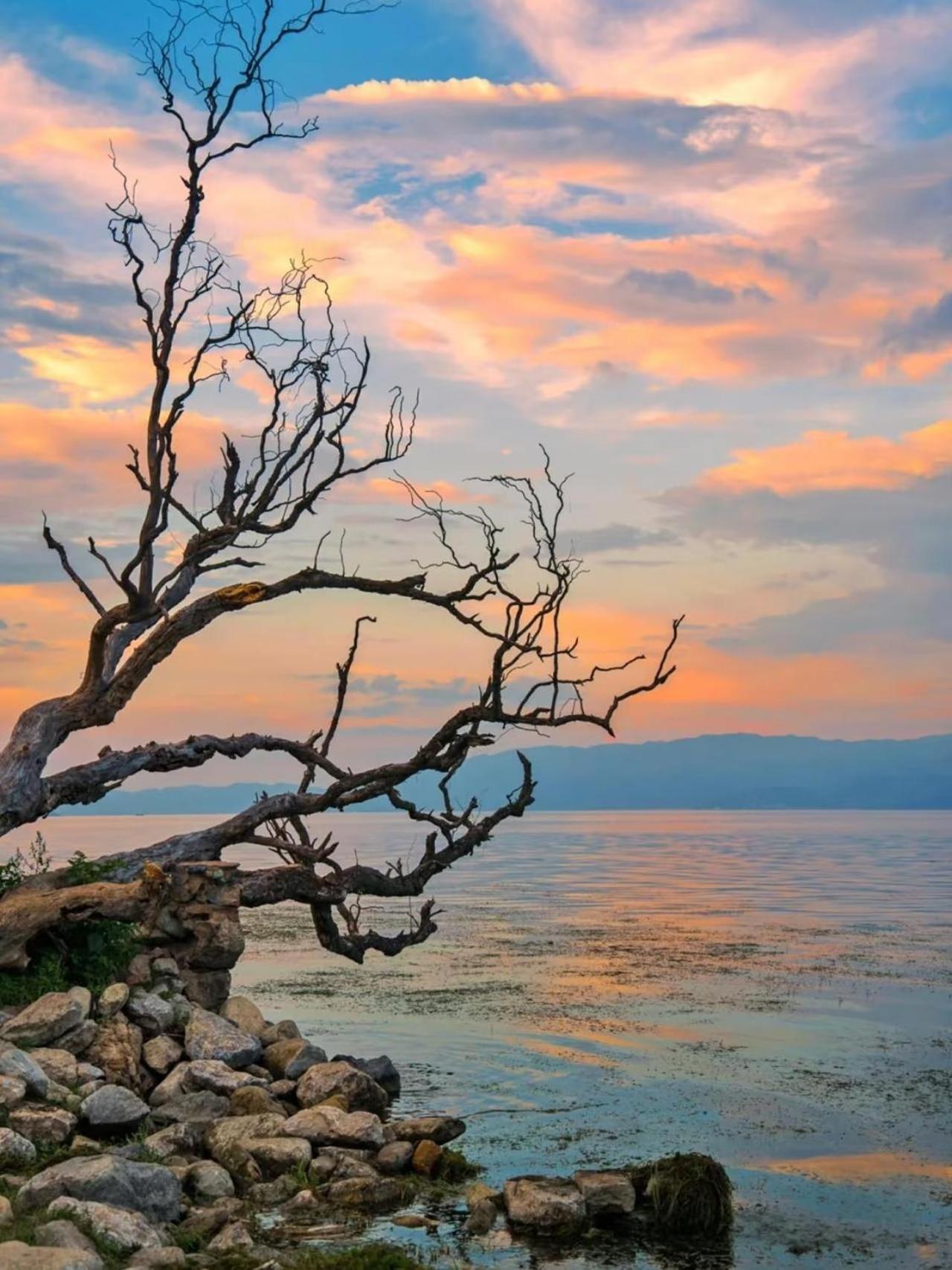 Dali Nest Secret Garden Lake View Inn Exterior foto